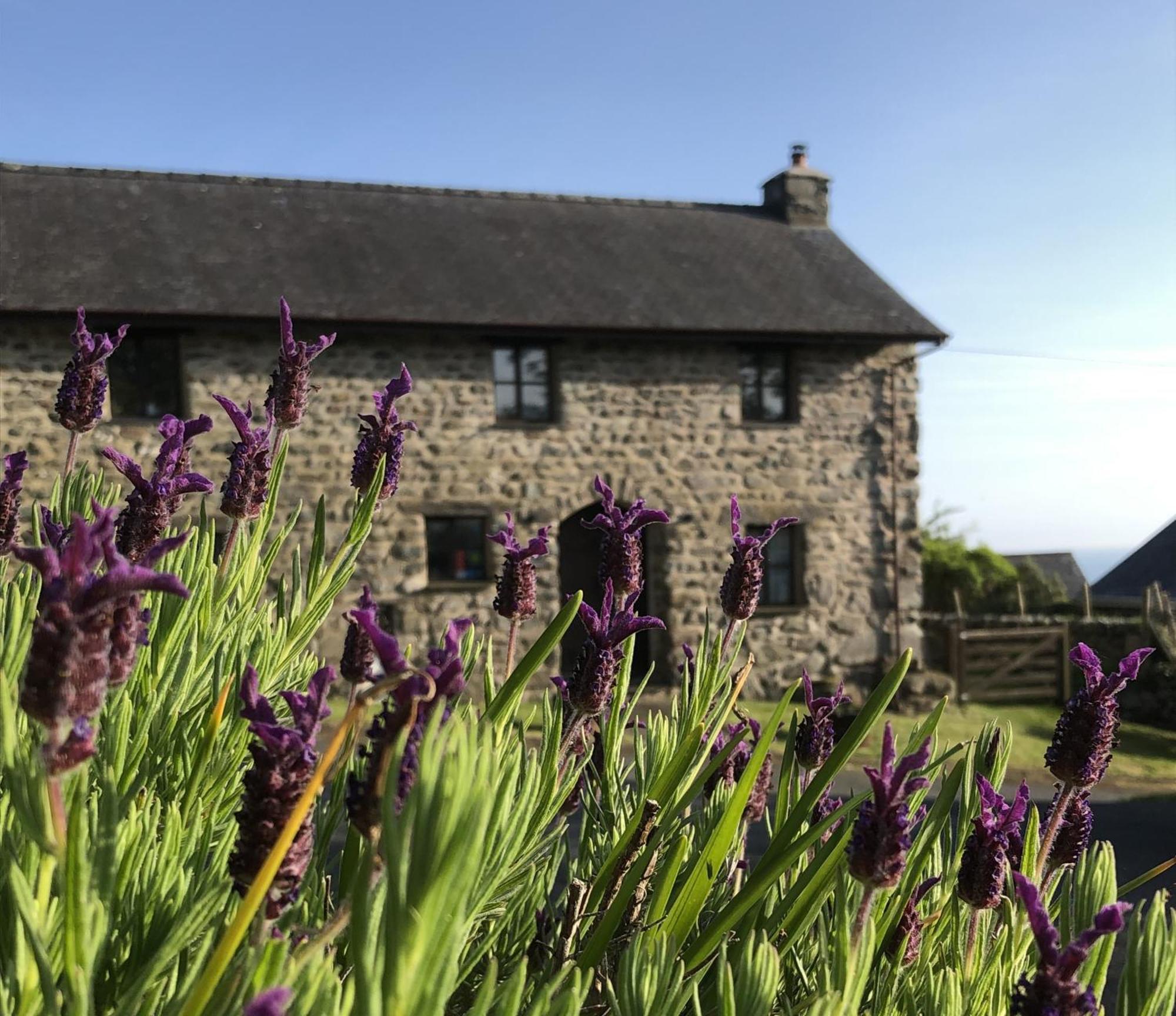 The Old Farmhouse B&B Dyffryn Ardudwy Exterior photo